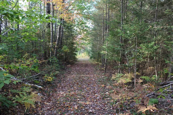 $495,000 | 22006 Bowden Trail, Hillman, MI 49746