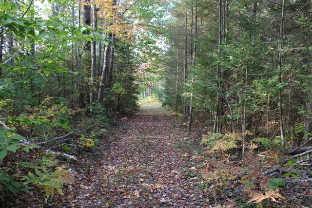 $495,000 | 22006 Bowden Trail, Hillman, MI 49746