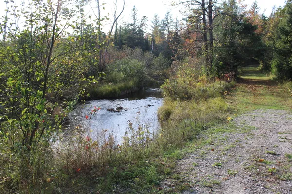 $495,000 | 22006 Bowden Trail, Hillman, MI 49746
