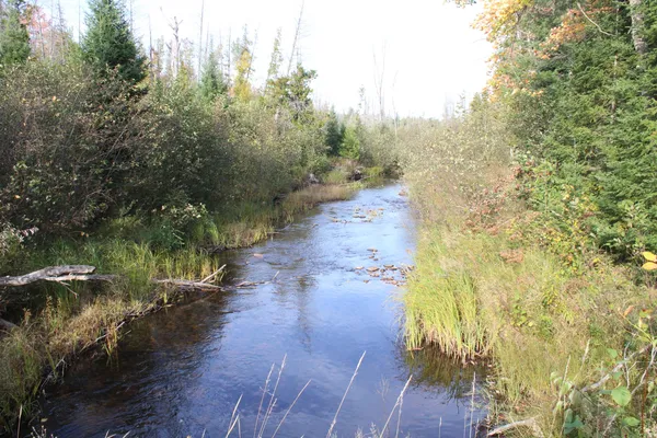 $495,000 | 22006 Bowden Trail, Hillman, MI 49746