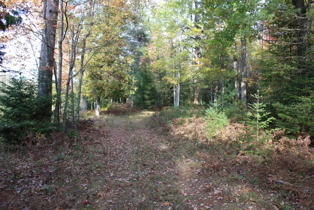 $495,000 | 22006 Bowden Trail, Hillman, MI 49746