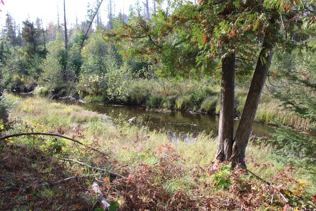 $495,000 | 22006 Bowden Trail, Hillman, MI 49746