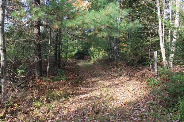 $495,000 | 22006 Bowden Trail, Hillman, MI 49746