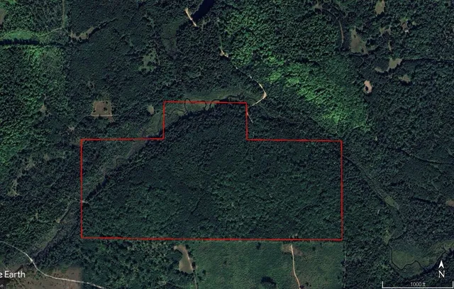 $495,000 | 22006 Bowden Trail, Hillman, MI 49746