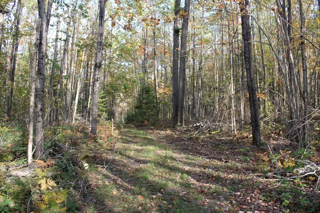 $495,000 | 22006 Bowden Trail, Hillman, MI 49746