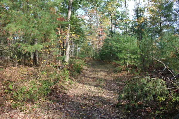 $495,000 | 22006 Bowden Trail, Hillman, MI 49746