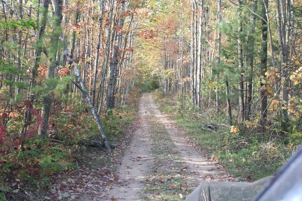 $495,000 | 22006 Bowden Trail, Hillman, MI 49746