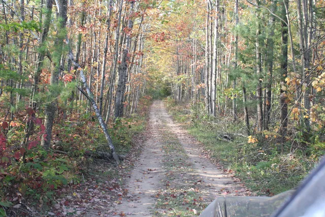 $495,000 | 22006 Bowden Trail, Hillman, MI 49746