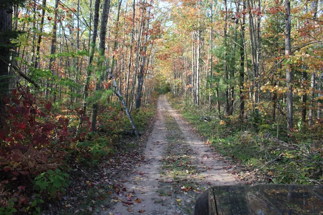 $495,000 | 22006 Bowden Trail, Hillman, MI 49746