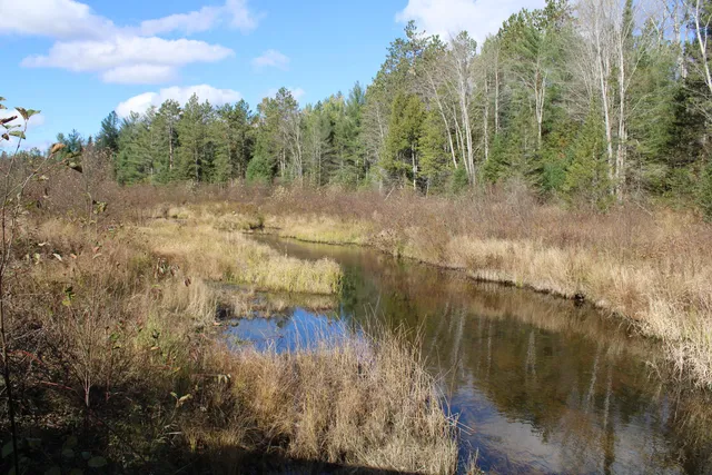 $495,000 | 22006 Bowden Trail, Hillman, MI 49746