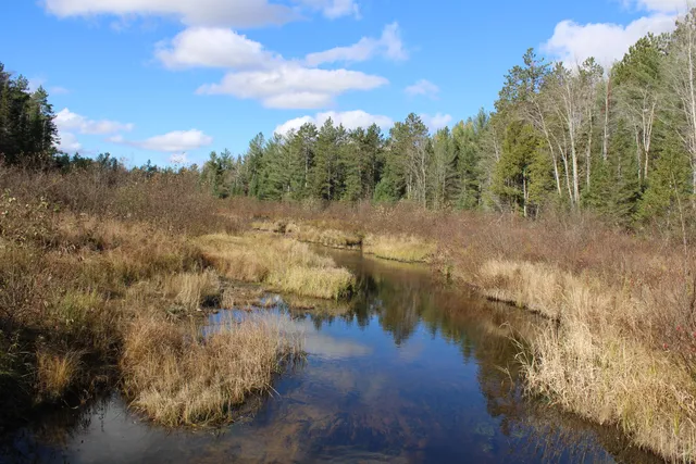 $495,000 | 22006 Bowden Trail, Hillman, MI 49746