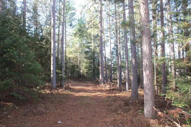 $495,000 | 22006 Bowden Trail, Hillman, MI 49746