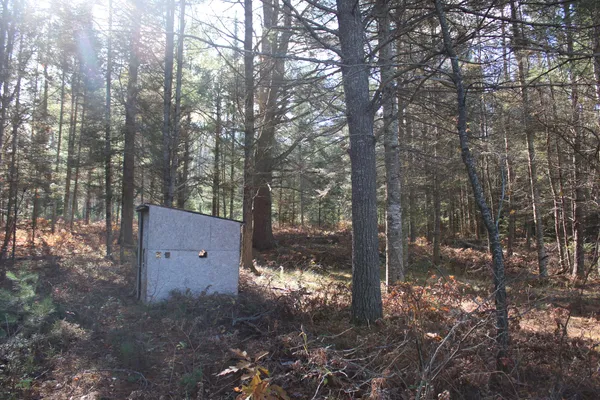 $495,000 | 22006 Bowden Trail, Hillman, MI 49746