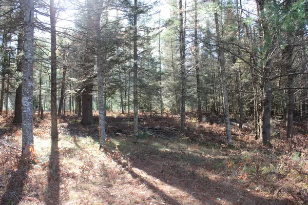 $495,000 | 22006 Bowden Trail, Hillman, MI 49746