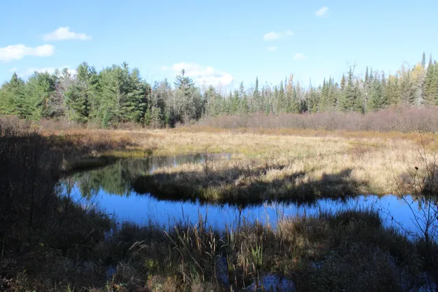 $495,000 | 22006 Bowden Trail, Hillman, MI 49746