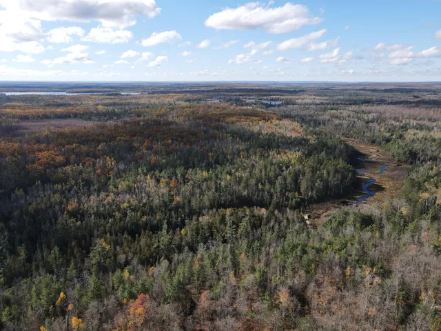 $495,000 | 22006 Bowden Trail, Hillman, MI 49746