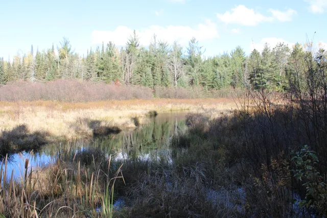 $495,000 | 22006 Bowden Trail, Hillman, MI 49746