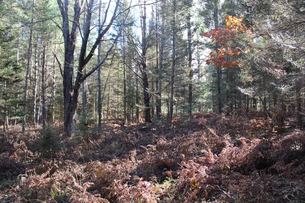 $495,000 | 22006 Bowden Trail, Hillman, MI 49746