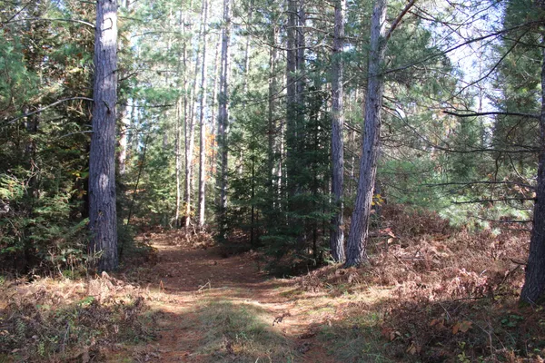 $495,000 | 22006 Bowden Trail, Hillman, MI 49746