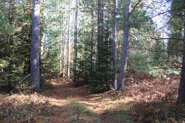 $495,000 | 22006 Bowden Trail, Hillman, MI 49746