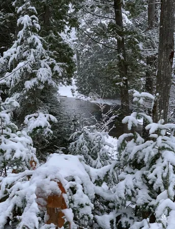 $495,000 | 22006 Bowden Trail, Hillman, MI 49746