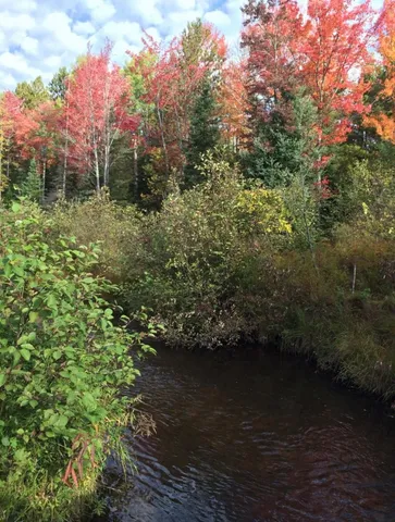 $495,000 | 22006 Bowden Trail, Hillman, MI 49746