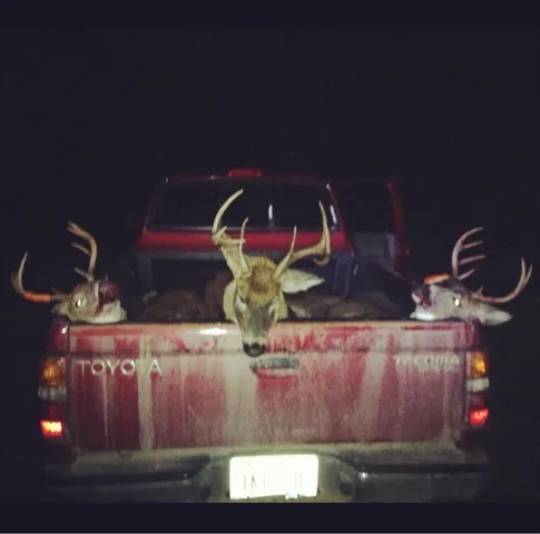 $495,000 | 22006 Bowden Trail, Hillman, MI 49746