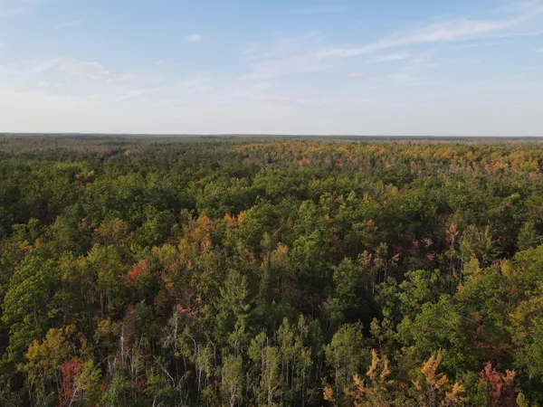 $495,000 | 22006 Bowden Trail, Hillman, MI 49746