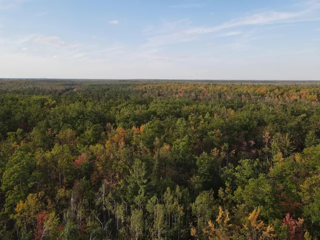 $495,000 | 22006 Bowden Trail, Hillman, MI 49746