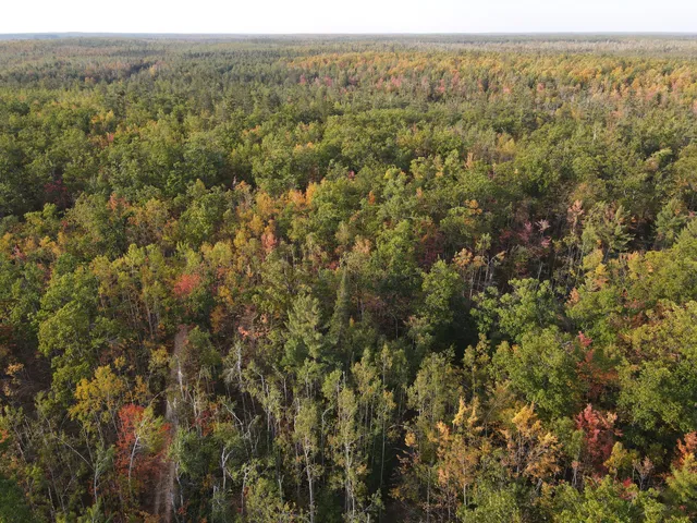 $495,000 | 22006 Bowden Trail, Hillman, MI 49746