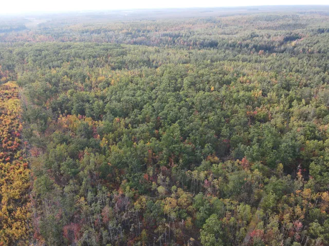 $495,000 | 22006 Bowden Trail, Hillman, MI 49746