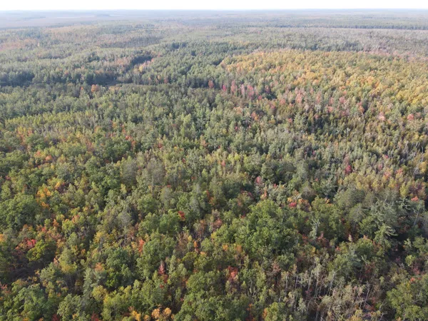 $495,000 | 22006 Bowden Trail, Hillman, MI 49746