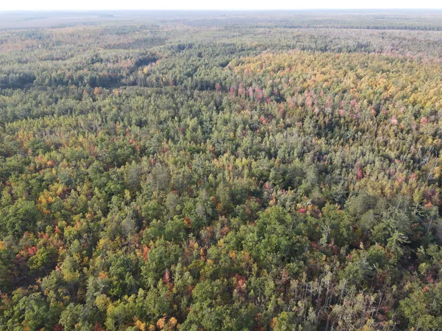 $495,000 | 22006 Bowden Trail, Hillman, MI 49746