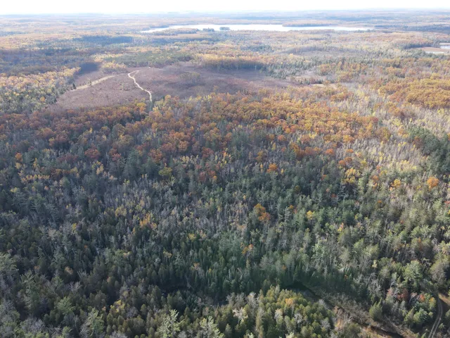 $495,000 | 22006 Bowden Trail, Hillman, MI 49746