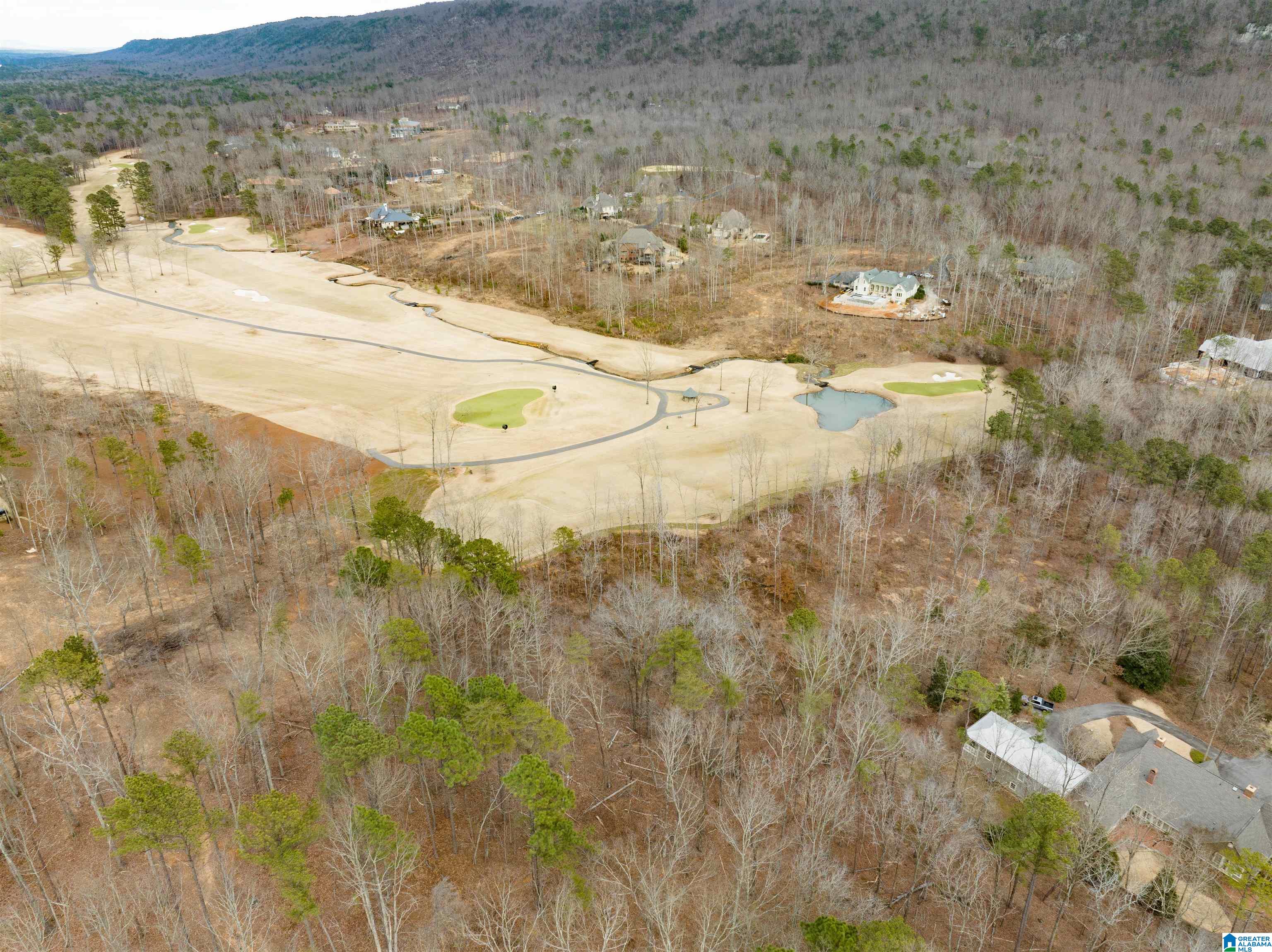 5 Prestwick Trace, Unit 50 Birmingham, AL 35242 - Photo 7 of 11