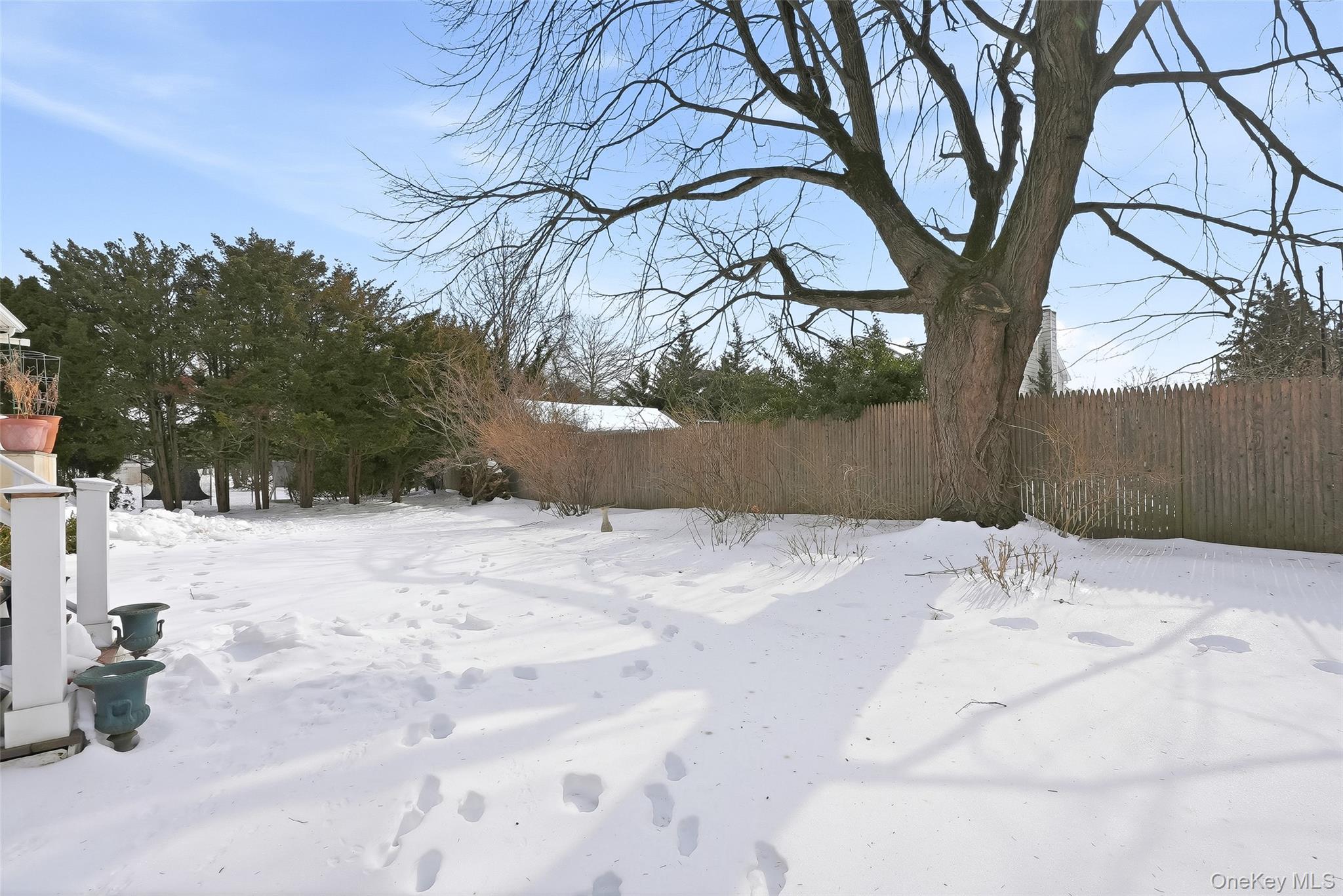 6 Pine Lane Rye, NY 10580 - Photo 30 of 33