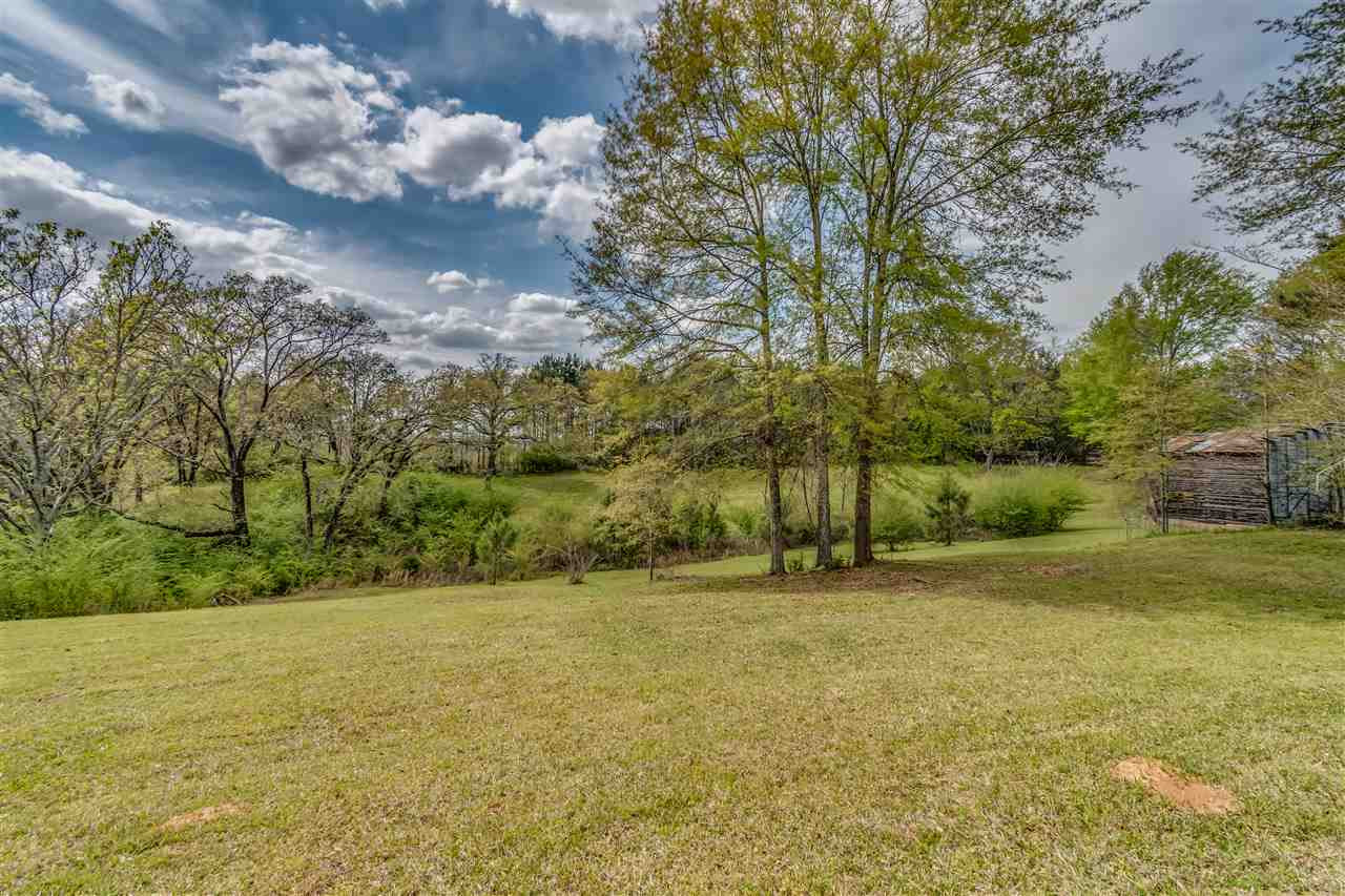 320 Magnolia Drive Raleigh, MS 39153 - Photo 35 of 45 Photo 35