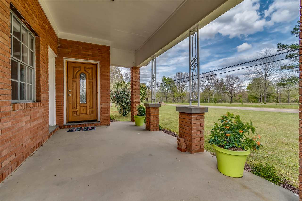 320 Magnolia Drive Raleigh, MS 39153 - Photo 6 of 45 Photo 6