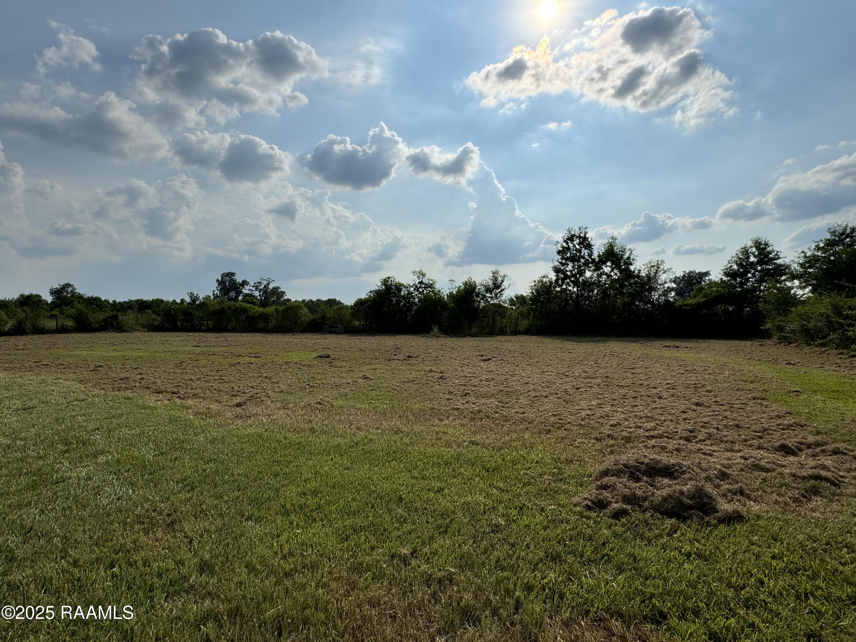 395 Heard Sylvester Road Washington, LA 70589 - Photo 6 of 17 IMG_3094
