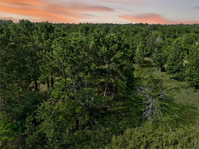 a view of outdoor space with deck and yard