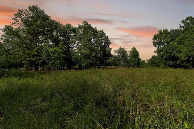 $425,000 | 7449 Highway 61, Hankamer, TX 77560