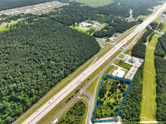 a close up of a plant in a garden