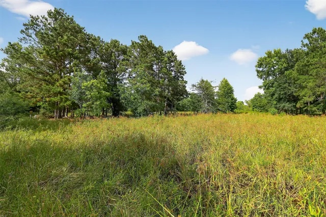 a view of yard with swimming pool and green space
