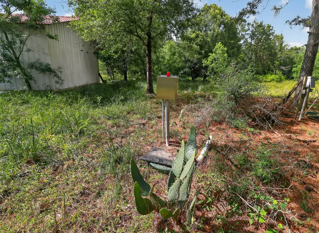 a view of a green field with a tree