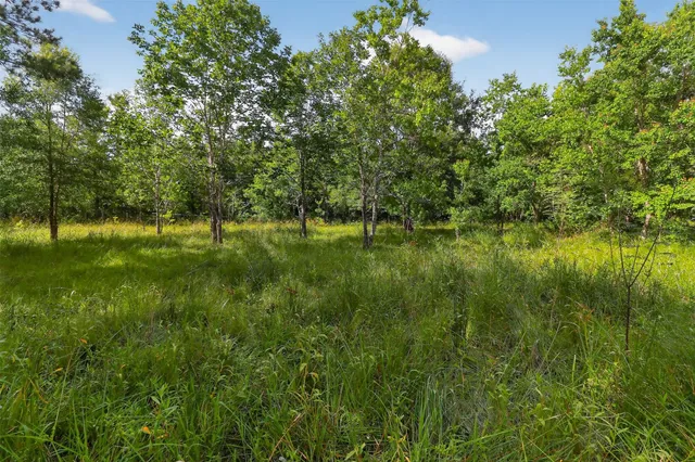 a view of outdoor space and yard