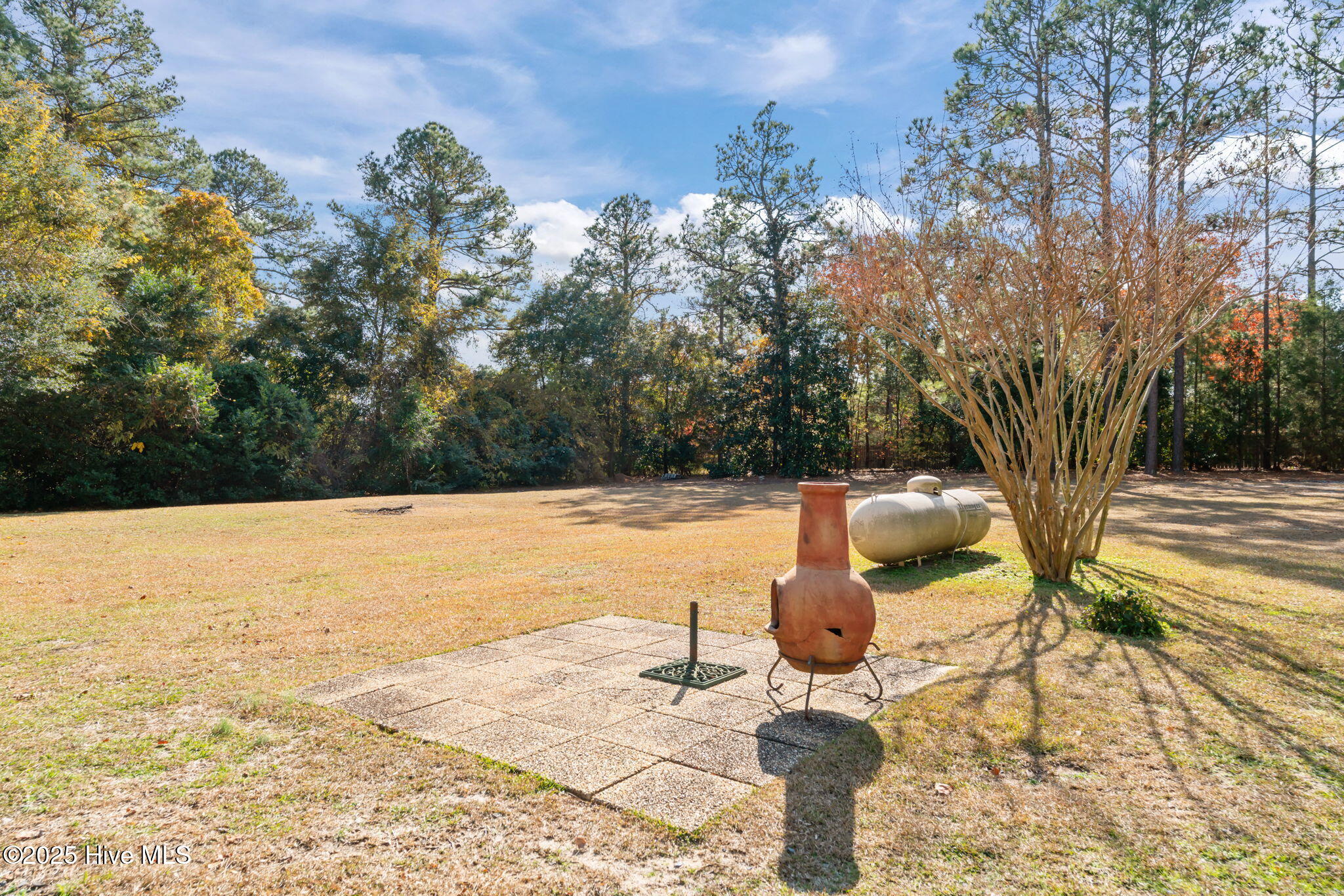 435 Sand Pit Road Aberdeen, NC 28315 - Photo 40 of 49 Back Yard