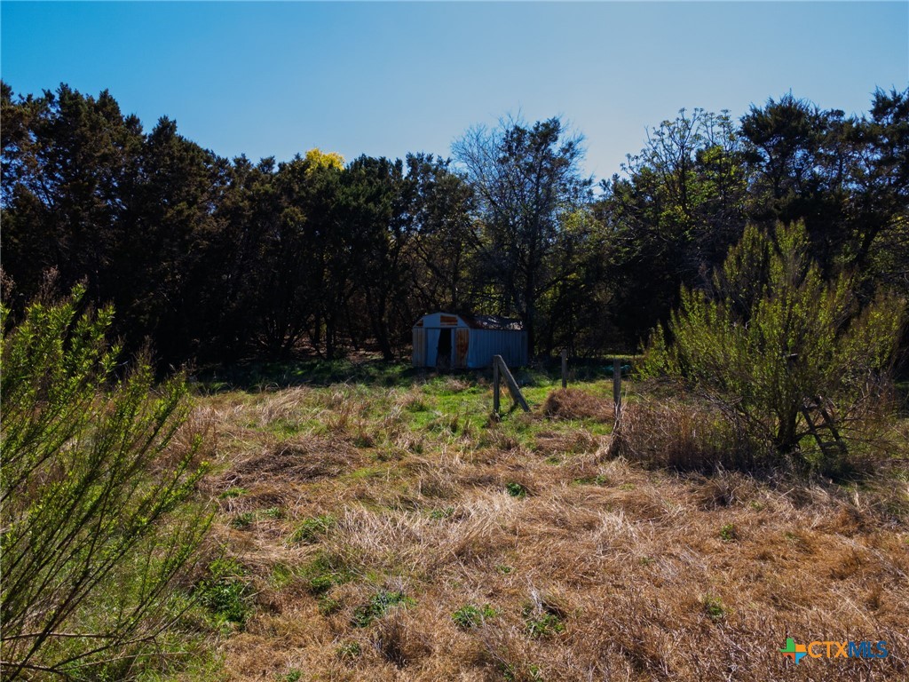 1467 County Road 4820 Kempner, TX 76539 - Photo 37 of 38 a view of outdoor space and yard