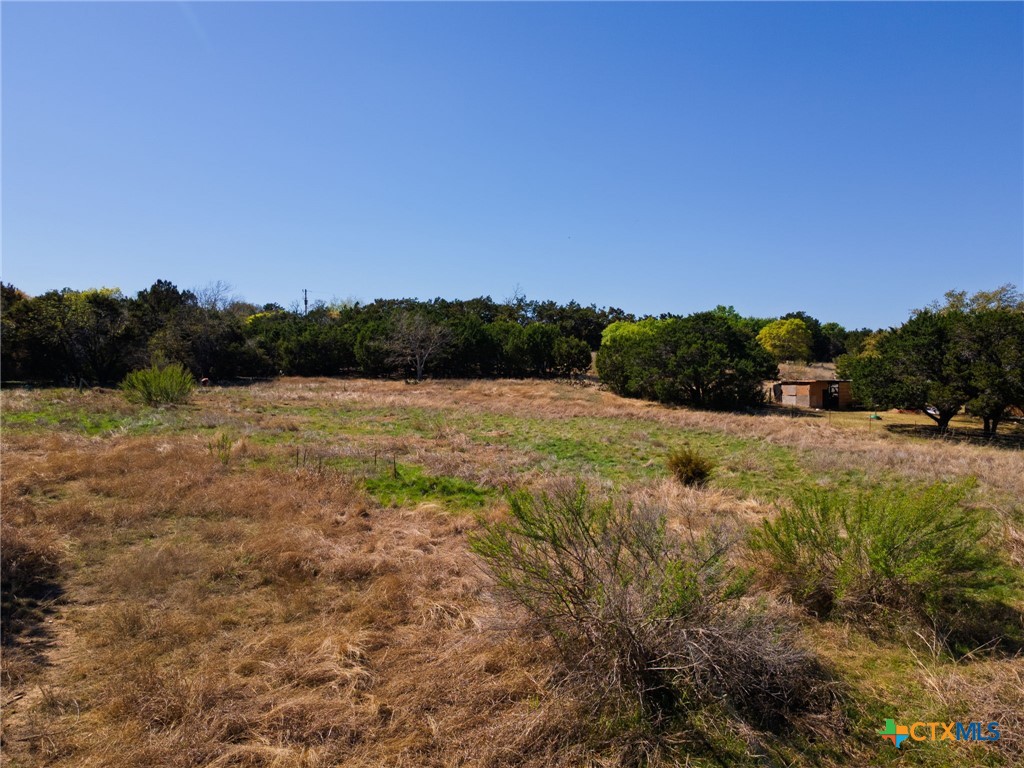 1467 County Road 4820 Kempner, TX 76539 - Photo 38 of 38 a view of a field with a tree in the background