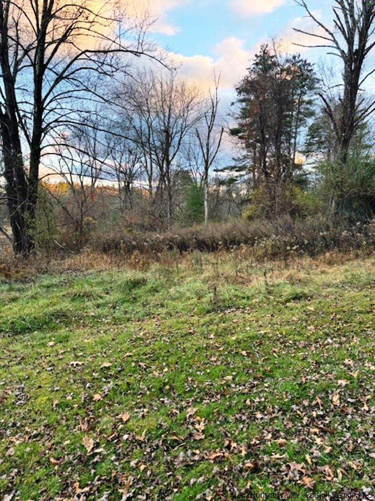 445 Mill Hook Road Accord, NY 12404 - Photo 1 of 10 Photo 1