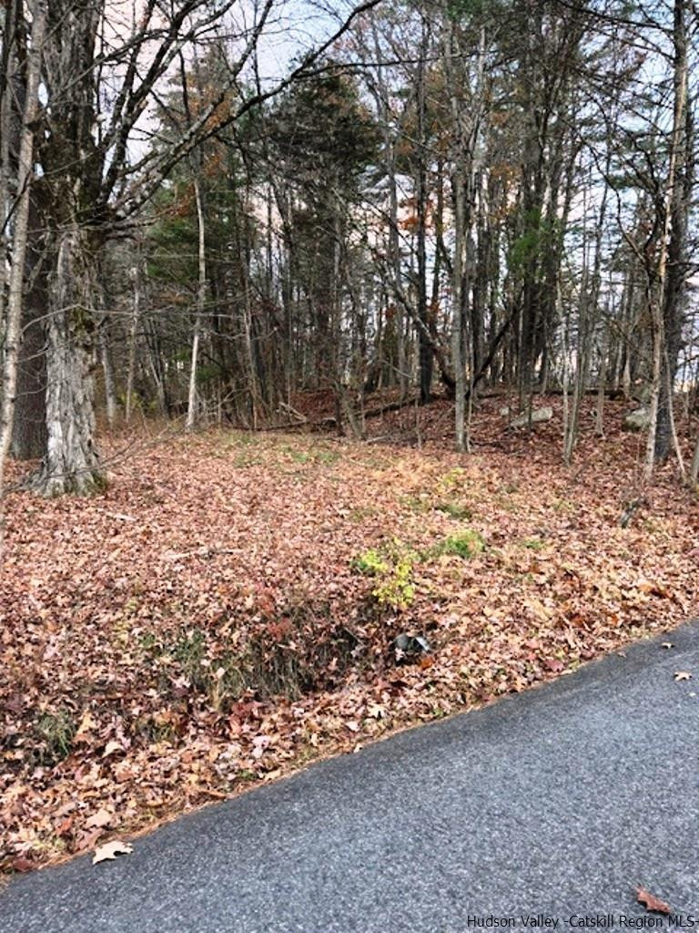 445 Mill Hook Road Accord, NY 12404 - Photo 2 of 10 Photo 2